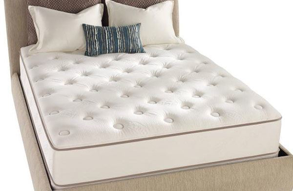 Slika Melissa Mattress with Foundation Option