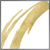 Picture of Test Product