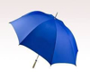 Picture of A BLUE UMBRELLA, COOL