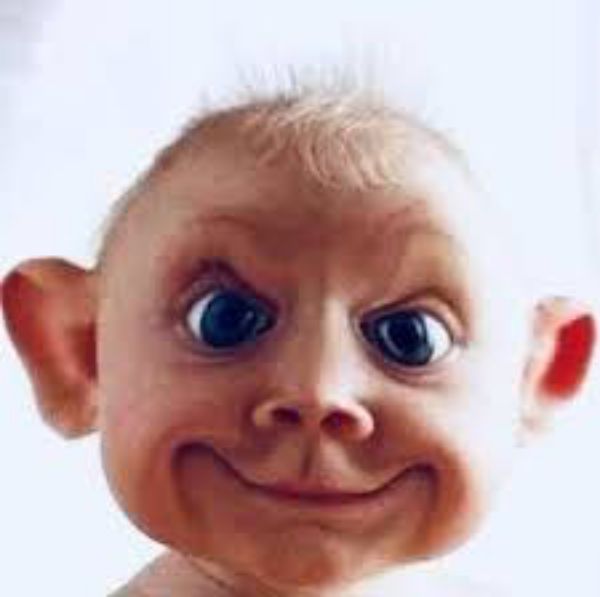 图片 ESTORIS-2638 PRODUCT 1