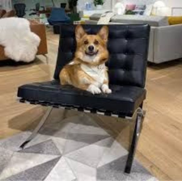 Picture of Test Barcelona chair